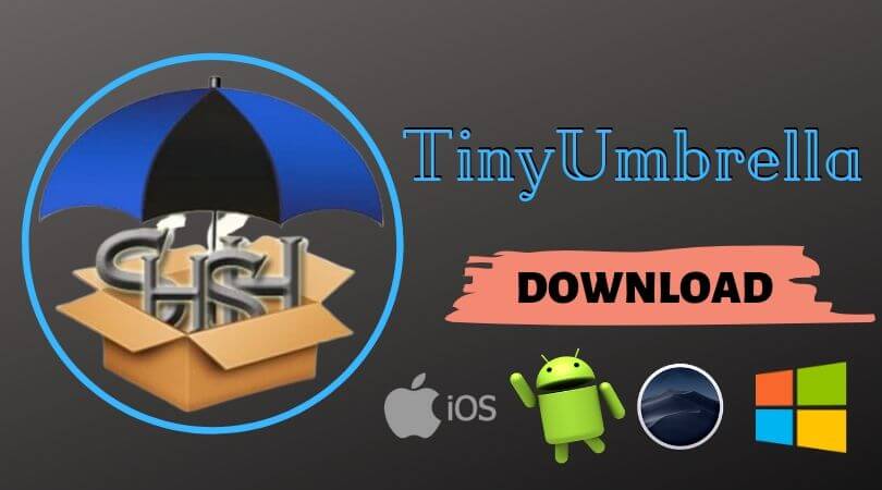 tinyumbrella windows 10 fix