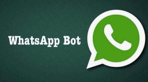 whatsapp-bot-search-engine-wiki-internet-wikipedia-on-whatsapp